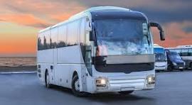Immagine: AUTOBUS